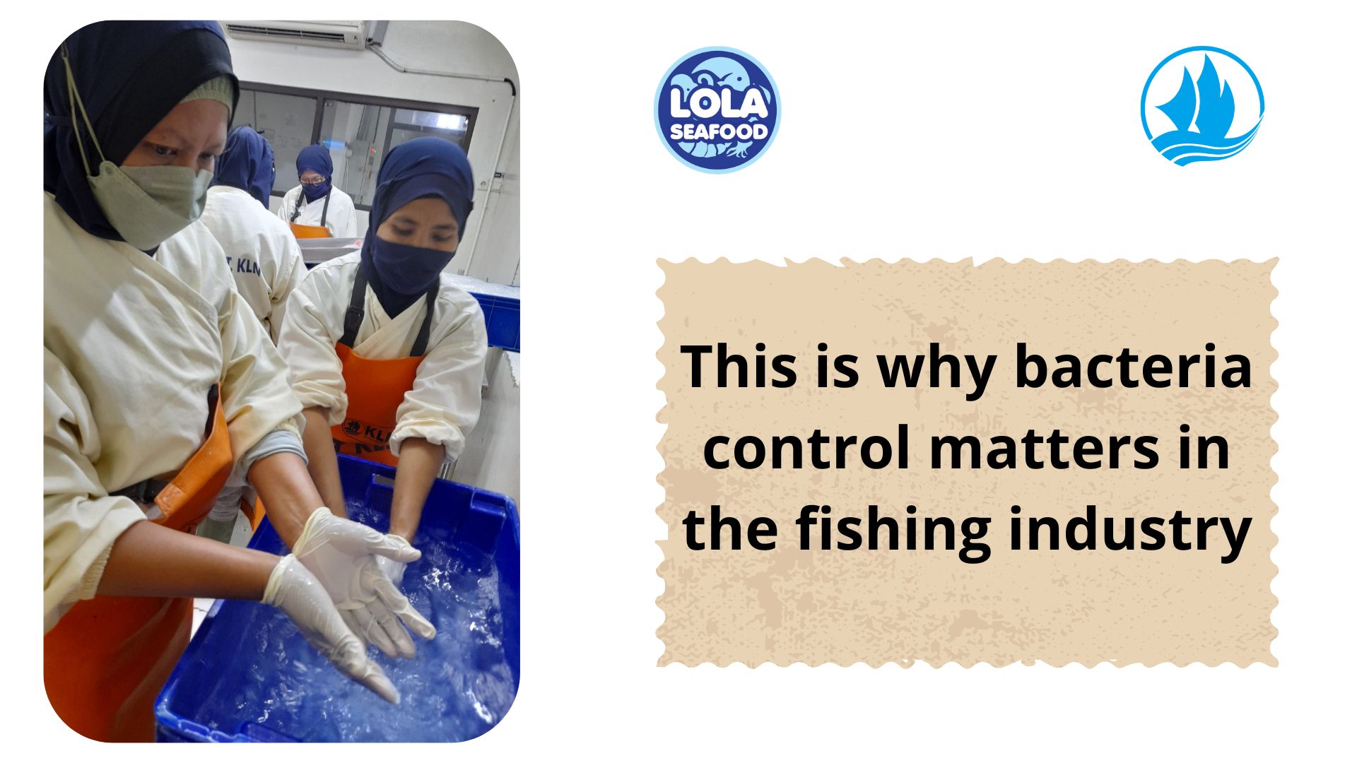 This is why bacteria control matters in the fishing industry